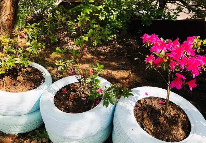 Jak zrobić skalniak z opon: krok po kroku do pięknego ogrodu