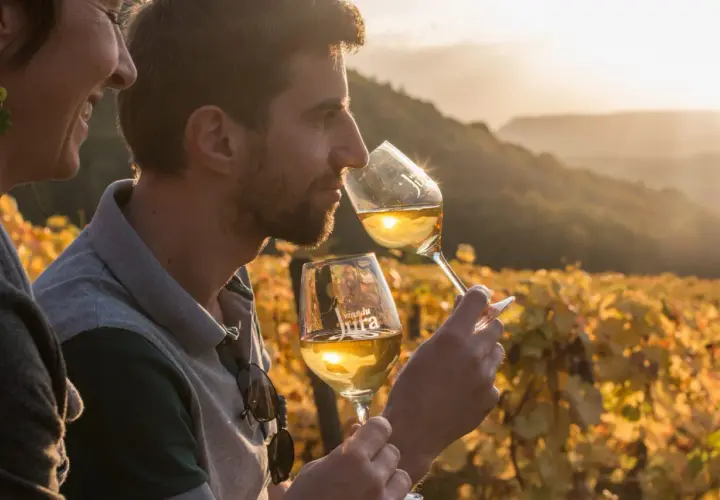 Un couple profite d'une dégustation vin Jura au coucher du soleil, entouré de vignes dorées.