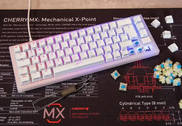 Mechanische Tastatur-Switches: CHERRY MX erklärt die Tastatur Switches Unterschiede. Blaue Switches liegen neben der Tastatur.