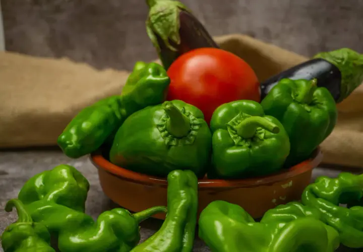 Verdure fresche: peperoni verdi, pomodoro e melanzane. Queste sono solanacee, cosa sono? Famiglia di piante da orto.
