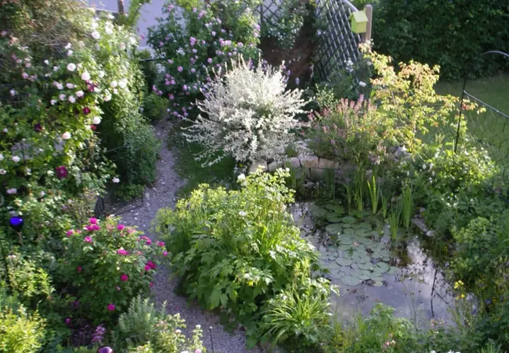 Ein üppiger, kleiner Garten mit Rosenbögen, einem Teich und einem Kiesweg.