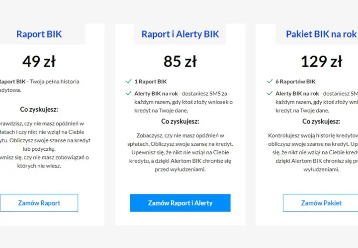 Alerty BIK: Inwestycja w bezpieczeństwo? Czy warto w 2026?