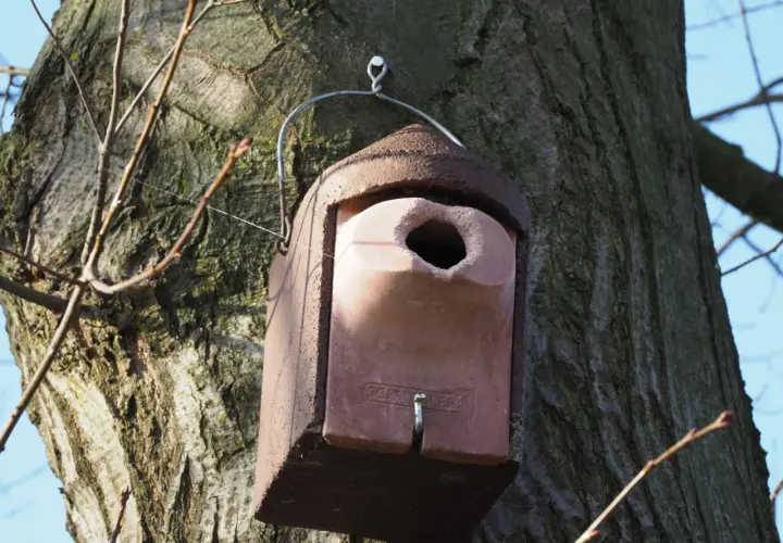 Ein Nistkasten für Spechte hängt an einem Baum.