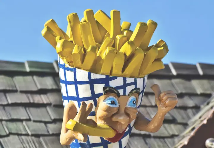 Kto wymyślił frytki? Belgia czy Francja? Rozstrzygamy spór!