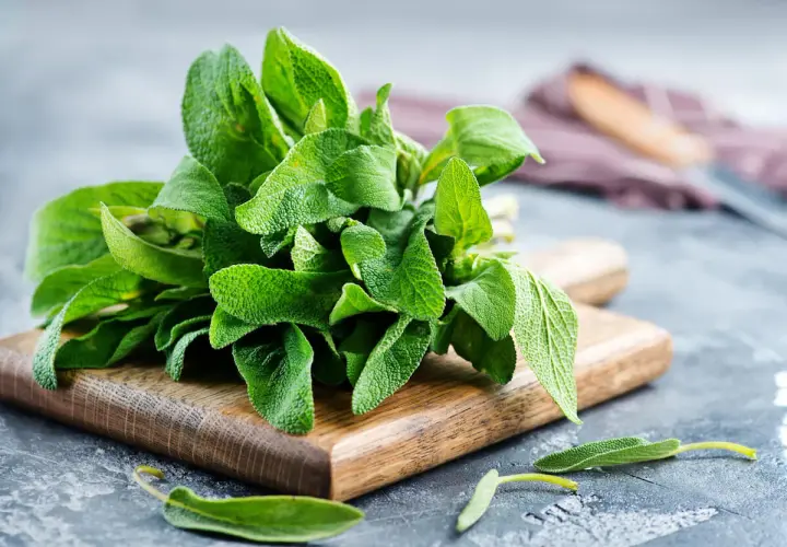 Un mazzo di salvia fresca su un tagliere di legno. Scopri come usare la salvia in cucina per insaporire i tuoi piatti.
