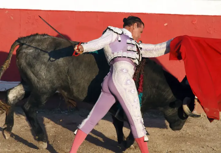 Un torero con su taleguilla rosa y chaquetilla bordada se enfrenta a un toro bravo.
