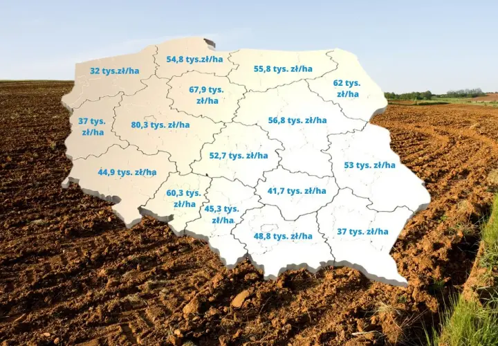 Mapa Polski z zaznaczonymi cenami za hektar ziemi. Sprawdź, ile kosztuje hektar ziemi w Twoim regionie.
