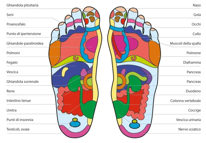Mappa dei piedi per la riflessologia plantare. Punti utili per il reflusso gastroesofageo e altri disturbi.