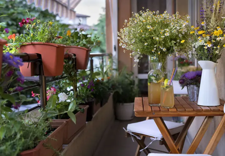 Blumenkästen mit bunten **balkonpflanzen schatten** spenden Schatten. Ein Tisch mit erfrischenden Getränken und Blumenarrangements lädt zum Verweilen ein.