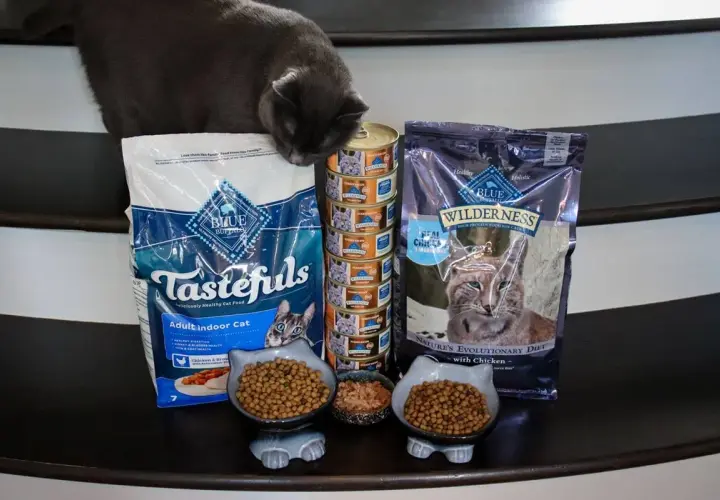 A curious cat investigates a selection of Blue Buffalo cat food, including Tastefuls and Wilderness. Is Blue Buffalo good for cats? This spread suggests it's a popular choice.