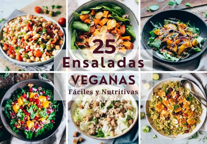 Collage de seis ensaladas veganas, con garbanzos, boniato, aguacate y más. ¡25 ensaladas veganas fáciles y nutritivas!