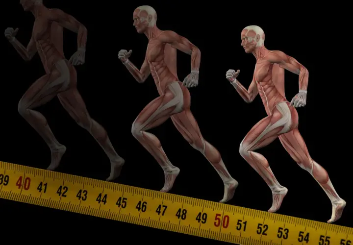 Anatomia biegu: zobacz, jakie mięśnie pracują przy bieganiu. Mięśnie nóg, pośladków i brzucha w akcji.