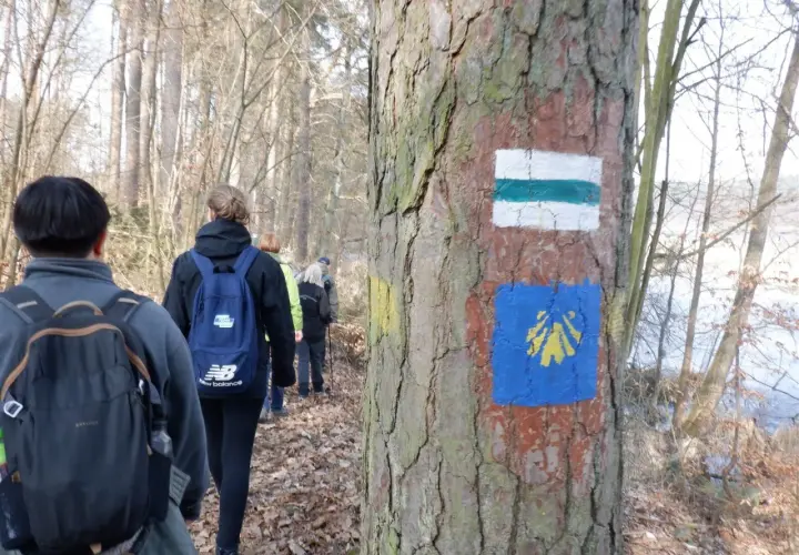 Grupa turystów w lesie, na drzewie oznaczenia szlaków PTTK: biało-zielony i niebieski z żółtą muszlą.