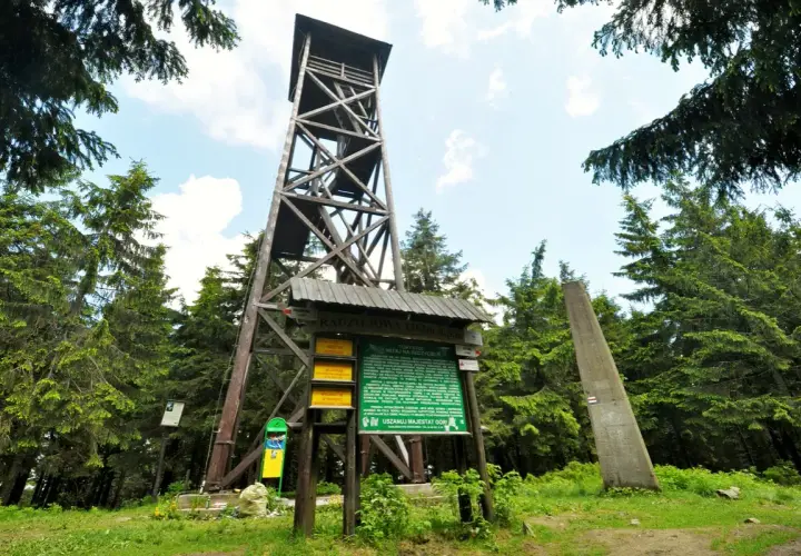 Drewniana wieża widokowa na radziejowa szczyt wśród zielonych drzew. Obok tablica informacyjna i betonowy obelisk.