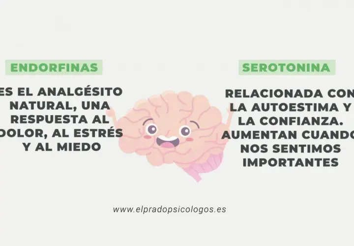 Endorfinas: el analgésico natural, respuesta al dolor, estrés y miedo. Serotonina: ligada a la autoestima y confianza.