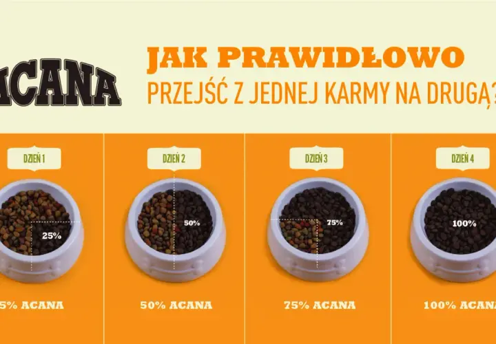 Grafika pokazuje, jak prawidłowo przejść z jednej karmy na drugą. Cztery miski z karmą dla psa, pokazujące stopniowe wprowadzanie karmy ACANA przez 4 dni.