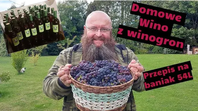 Jak zrobić wino z winogron ciemnych – uniknij najczęstszych błędów