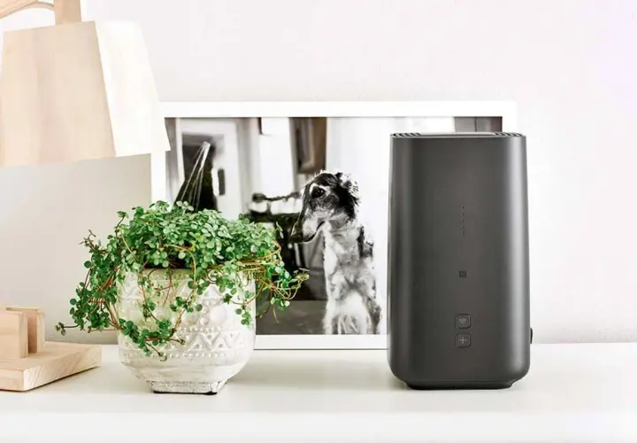 Czarny router 5G/LTE obok doniczki z rośliną i ramki ze zdjęciem psa.