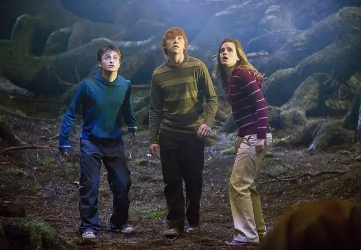 Harry, Ron i Hermiona w mrocznym lesie, szukając czegoś w Harry Potter 5.