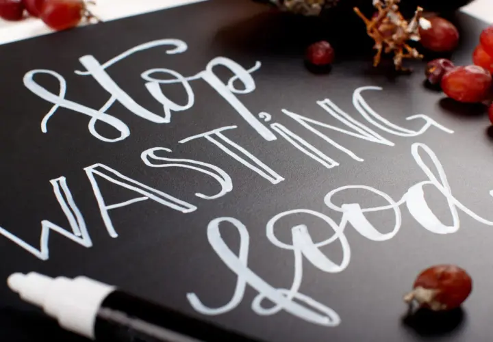 Mensaje "Stop Wasting Food" escrito con diferentes tipos de lettering en una pizarra negra, rodeado de uvas.