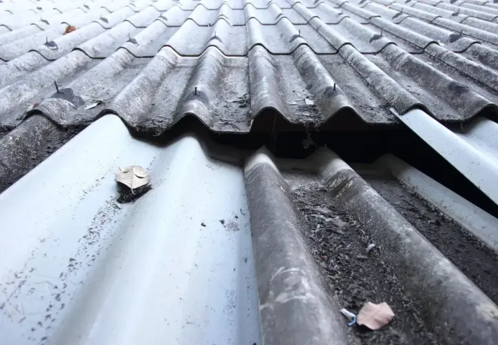 Altes, wellenförmiges Dach mit sichtbaren Schäden und Laub. Ein undichtes Dach reparieren: Kosten prüfen.