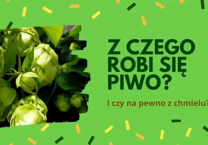 Z czego jest piwo? Poznaj składniki, które kształtują smak piwa