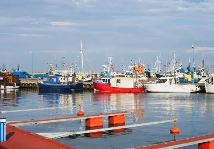 Władysławowo port pełen kutrów rybackich i białych jachtów, gotowych do wypłynięcia na spokojne morze.