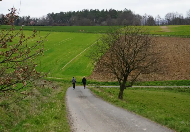 Dwie osoby idące ścieżką przez zielone pola i las w tle.