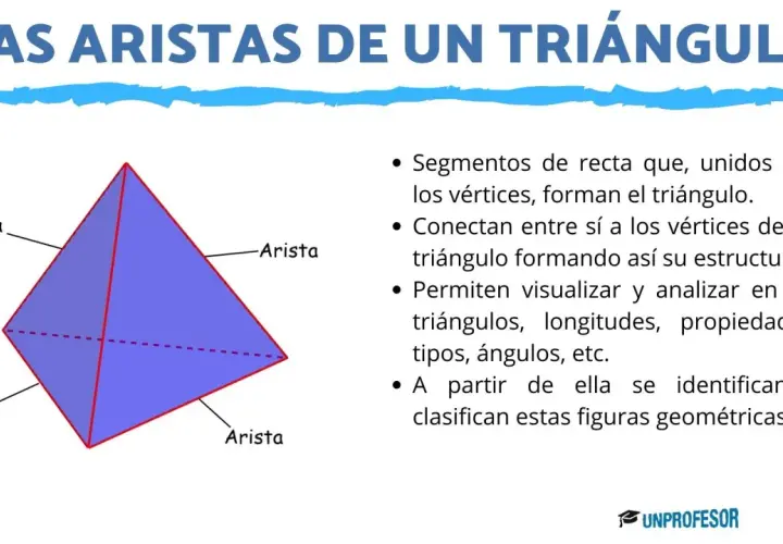 Un triángulo con sus aristas resaltadas. Una arista es un segmento que une vértices, fundamental para la estructura y análisis de triángulos.