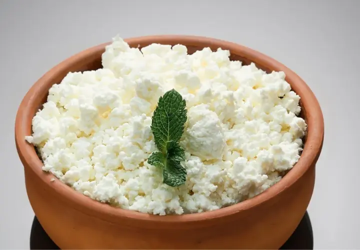 Ricotta fresca in ciotola di terracotta, guarnita con menta. Ideale per la ricotta in gravidanza, un alimento nutriente e leggero.