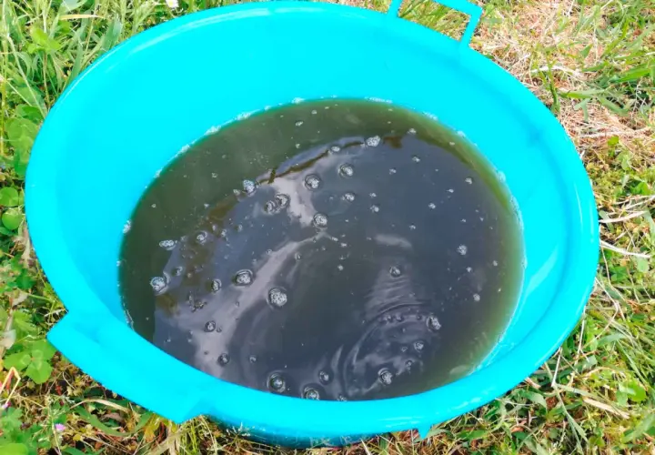 Un secchio turchese contiene un liquido scuro e torbido, probabilmente un macerato di aglio, con bollicine che affiorano.