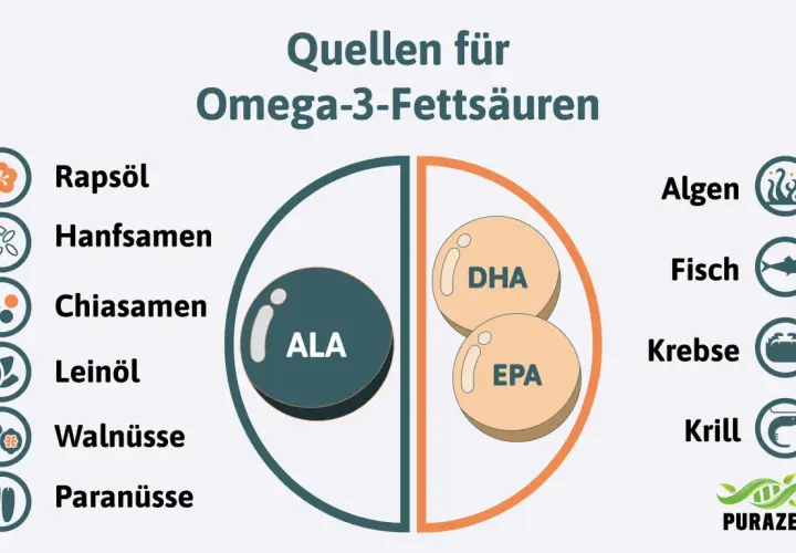 Quellen für Omega-3-Fettsäuren: ALA aus Pflanzen wie Leinöl, DHA & EPA aus Algen, Fisch, Krill. Wichtig für die tägliche Zufuhr.