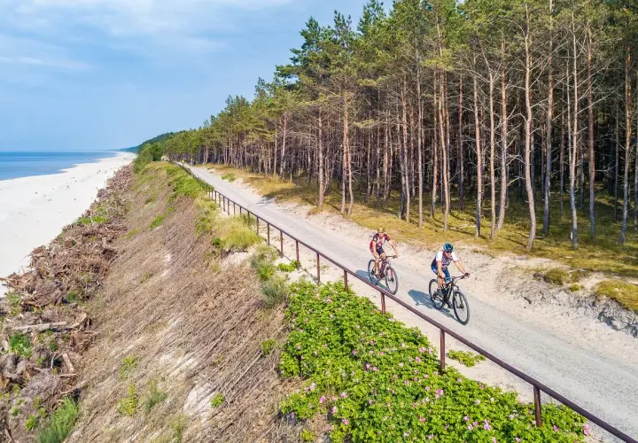 Dwóch rowerzystów przemierza malownicze trasy rowerowe Trójmiasta wzdłuż piaszczystej plaży i sosnowego lasu.