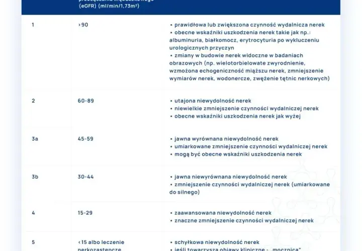 Badanie eGFR – co to jest i dlaczego jest kluczowe dla zdrowia nerek?