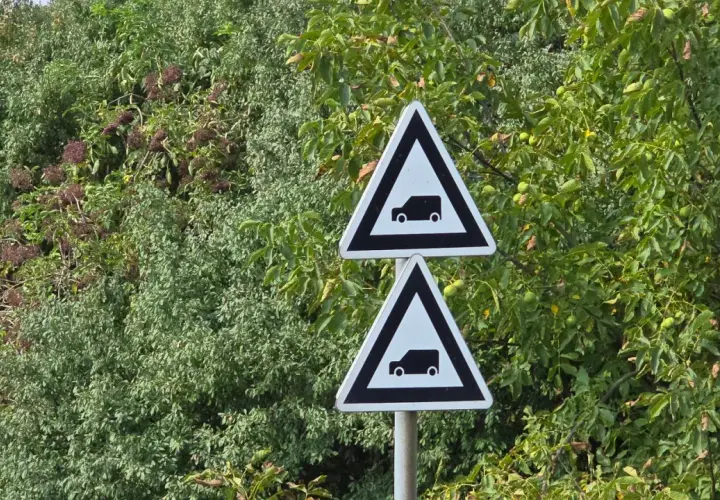 Dwa trójkątne znaki drogowe z symbolem samochodu, wskaźnik w6b, na tle zielonych drzew.