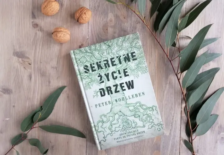 Książka "Sekretne życie drzew" na drewnianym tle, otoczona orzechami i gałązkami eukaliptusa.