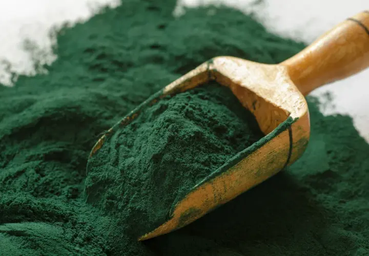 Czy spirulina odchudza? Odkryj, jak może wspierać odchudzanie