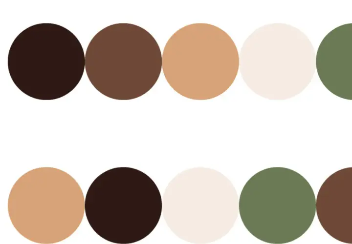 Palette di colori di base: marrone scuro, marrone, beige, crema e verde oliva. La palette corretta è evidenziata da un segno di spunta verde.