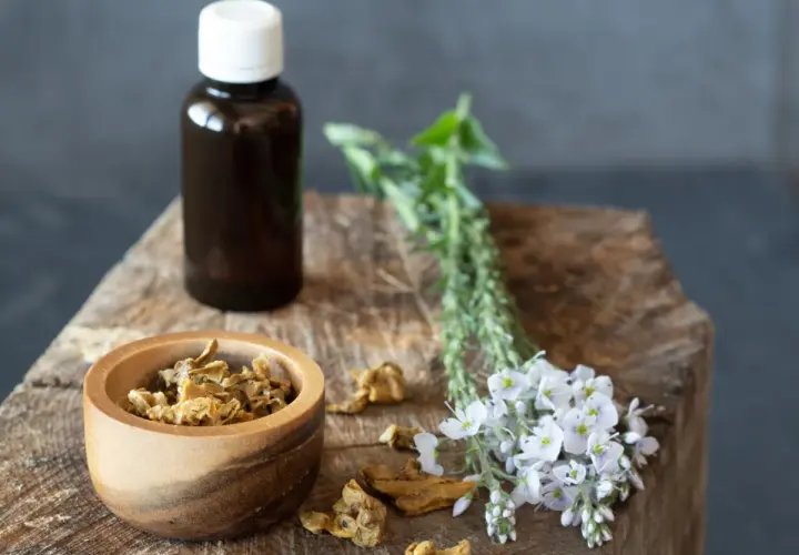 Bocciolo di legno con erbe essiccate, fiori bianchi e una bottiglia scura: ingredienti per un antibiotico naturale più potente.