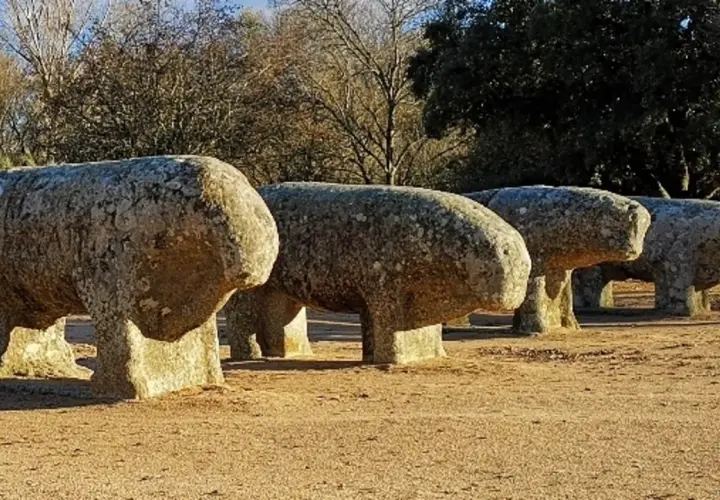 Cuatro verracos de piedra, como los de la ganadería La Guadamilla, posan en un campo soleado, evocando la historia.