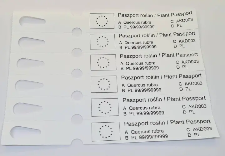 Paszport roślin / Plant Passport dla Quercus rubra. Informacje o tym, jak podlewać roślinę, są kluczowe dla jej zdrowia.