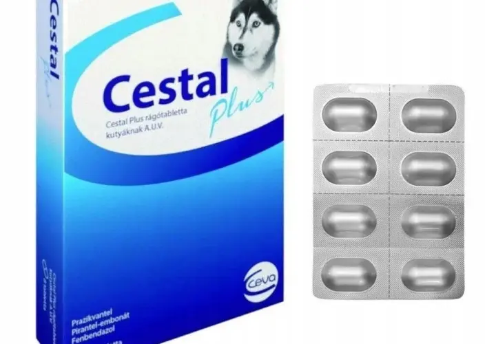 Jak działa tabletka na odrobaczanie psa i co musisz wiedzieć?