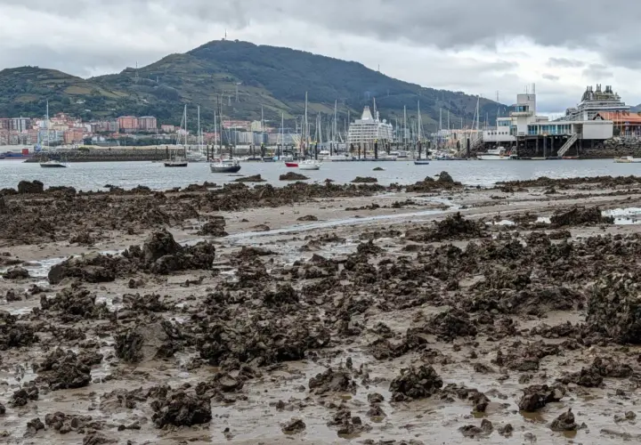 Barro y rocas expuestas en la costa, con barcos y un crucero en el mar, bajo un cielo nublado. Las mareas vivas revelan el lecho marino.