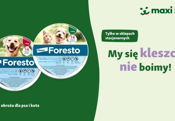 Gdzie kupić obrożę Foresto? Sprawdź najlepsze oferty online