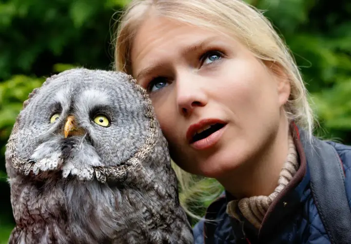 Ein junger Bussard mit gelben Augen blickt neugierig, während eine Frau mit offenem Mund daneben steht.