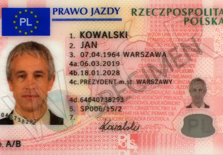 Numer druku prawa jazdy: Gdzie go szukać? Sprawdź status!
