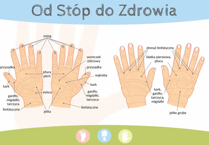 Akupresura dłoni: Mapa punktów na ból, stres i lepszy sen
