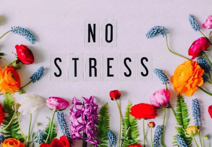 Kwiaty wokół napisu "NO STRESS" symbolizują uczucia wyższe, spokój i harmonię.