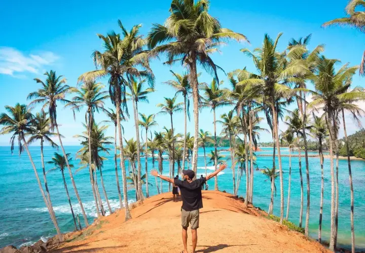 Wspaniałe widoki na Sri Lankę, idealne na loty. Człowiek wita się z rajską plażą i palmami.
