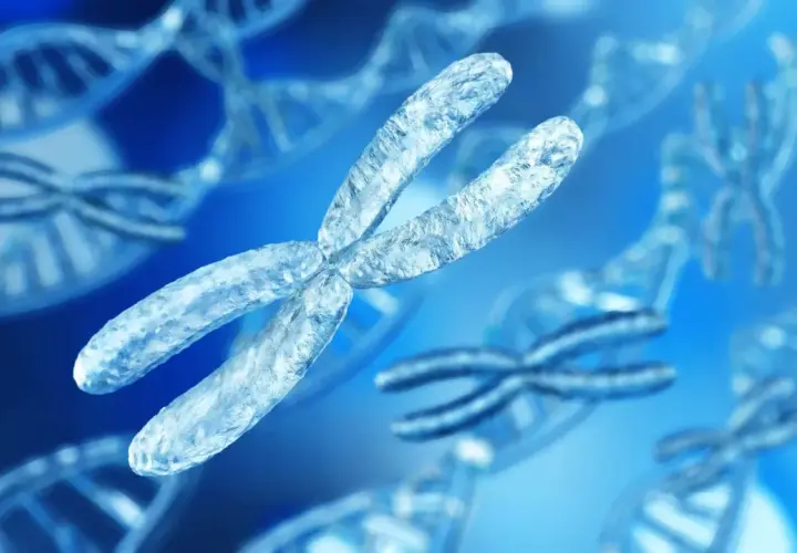 Chromosomy, w tym X, w tle z podwójną helisą DNA. Wizualizacja przedstawia zespół Klinefeltera wygląd.